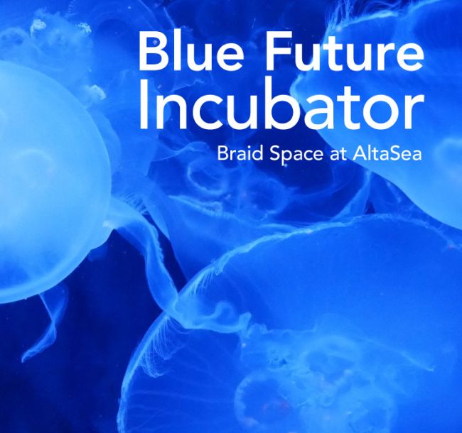 Blue Future Incubator